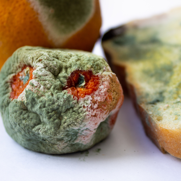 Pflegedienst und Betreuungsdienst-Alltagshilfe CuraVital-Einkaufshilfe-Personal-geht-einkaufen Pflegedienst und Betreuungsdienst-Alltagshilfe CuraVital-Einkaufshilfe-Personal-geht-einkaufen